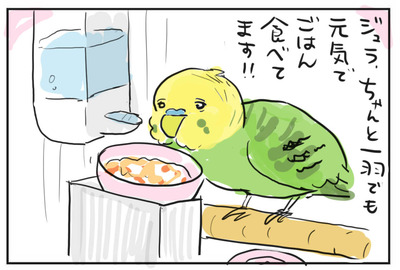1016ロッシ-
