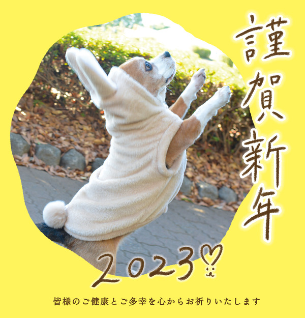 2022くるみ