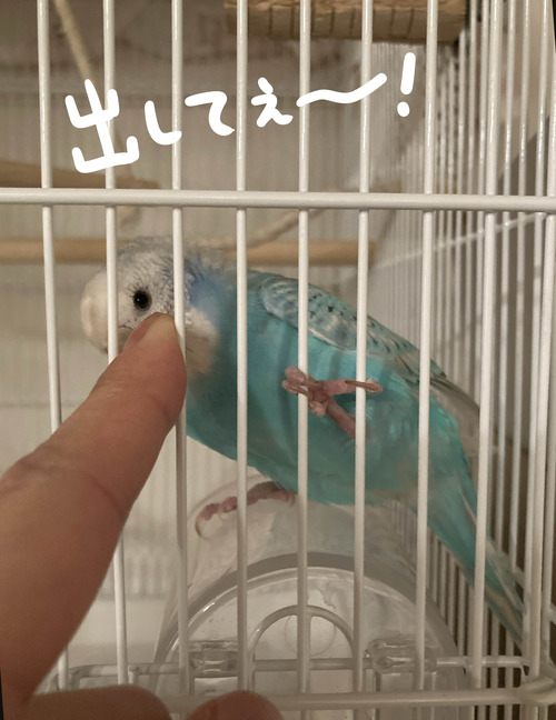 出して