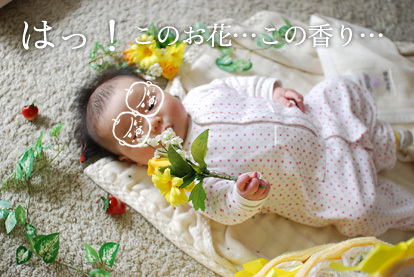 たまご絵日記 -はじめての妊娠&子育て-