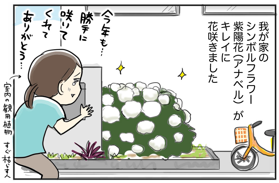 切り花を簡単に長持ちさせる方法 たまご絵日記 2児のかあちゃん奮闘記 Powered By ライブドアブログ 切り花を簡単に長持ちさせる方法 たまご絵日記 2児のかあちゃん奮闘記 Powered By ライブドアブログ