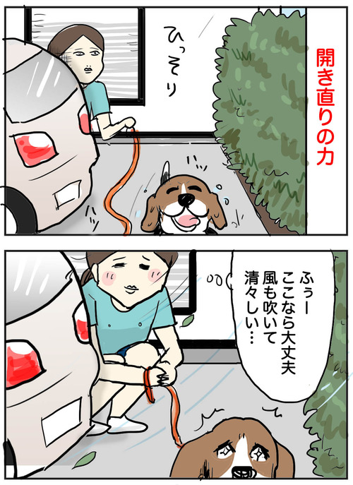 0531-3
