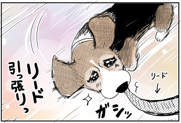 0201-2