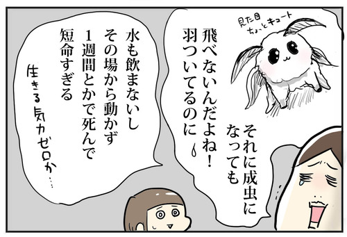 0720−11