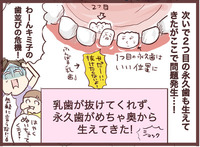 014a1e07-s