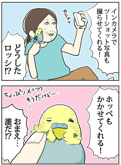 0802-3