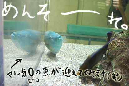たまご日記 -はじめての妊娠&子育て-