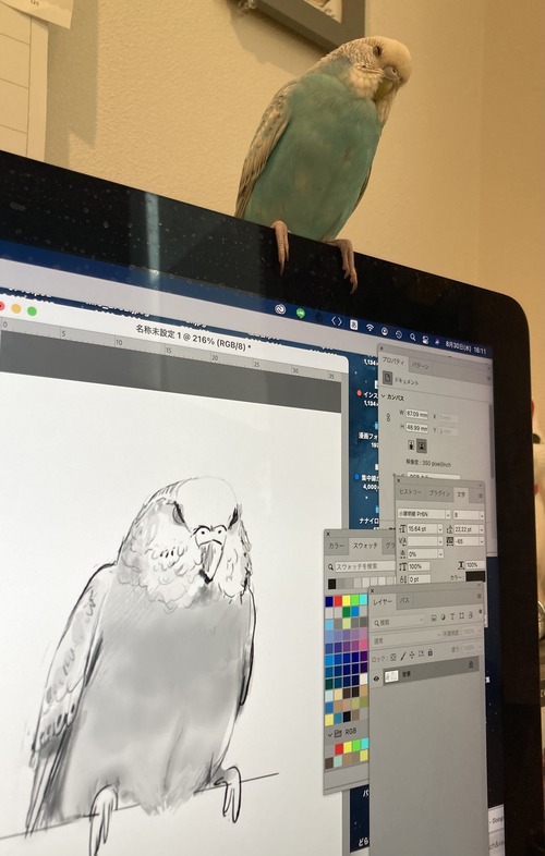 FullSizeRender