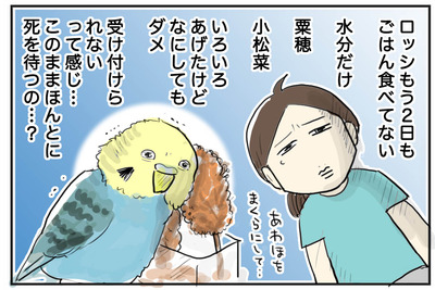 0801-1
