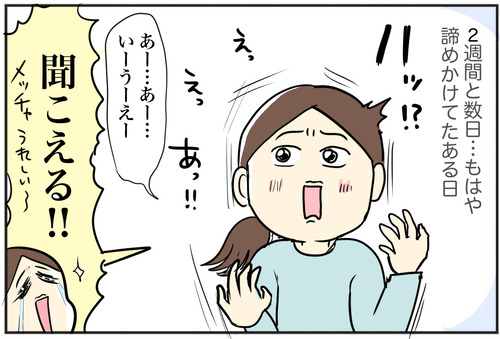 0317−8