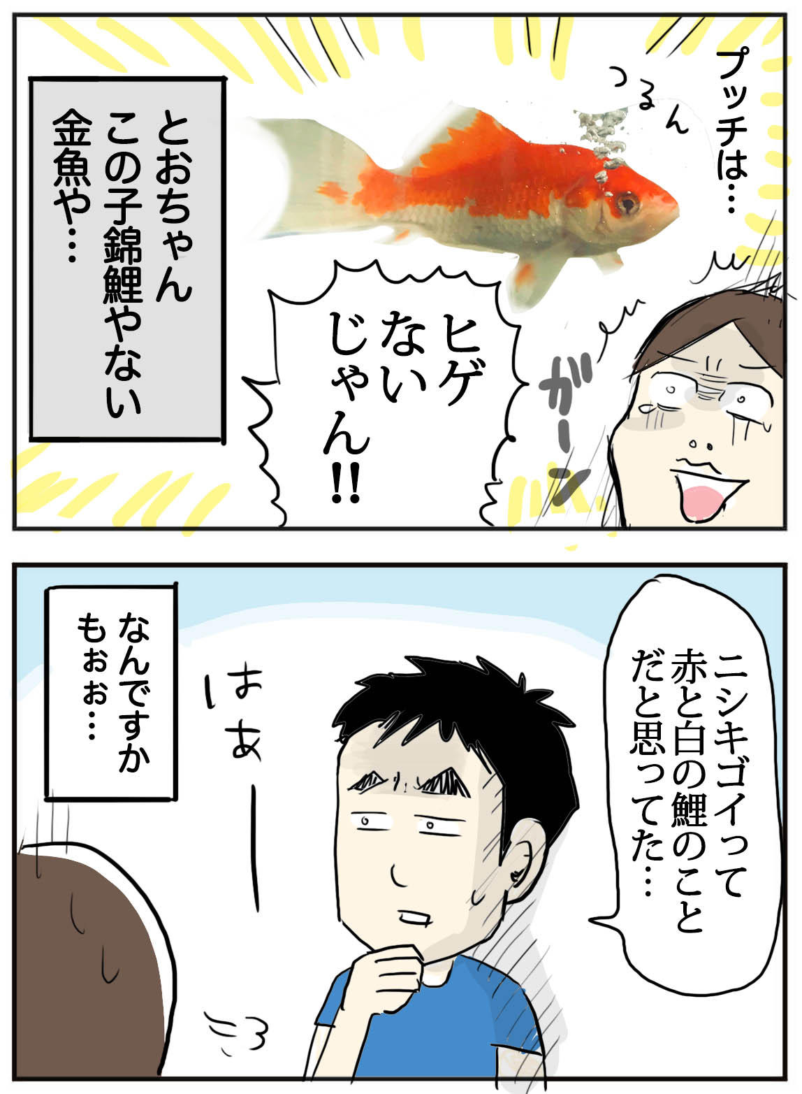 鯉が我が家にやってきた たまご絵日記 2児のかあちゃん奮闘記 Powered By ライブドアブログ 鯉が我が家にやってきた たまご絵日記 2児のかあちゃん奮闘記 Powered By ライブドアブログ