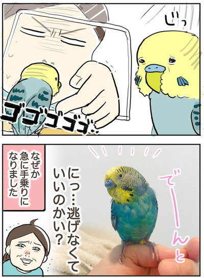 0802-2