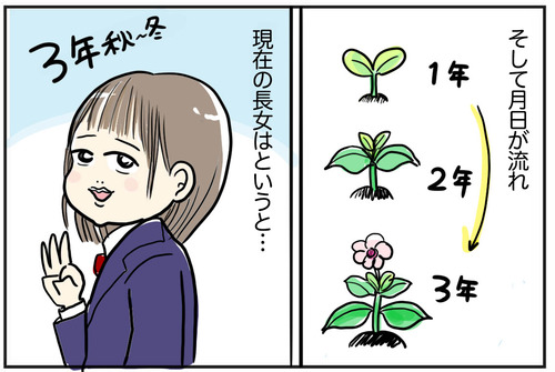 1203-3
