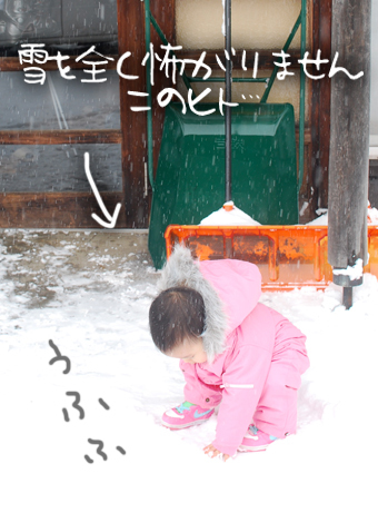 たまご絵日記 -はじめての妊娠!育児!奮闘記-