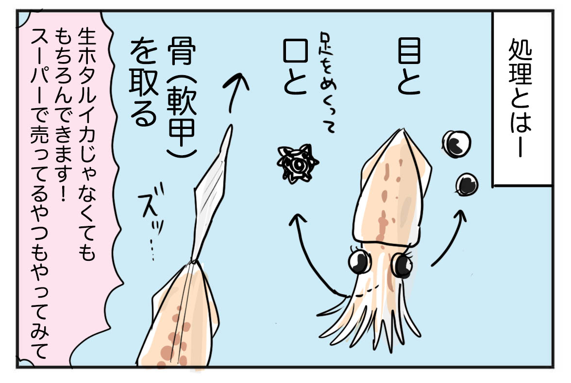生のホタルイカを食べてみたよ 処理方法 たまご絵日記 2児のかあちゃん奮闘記 Powered By ライブドアブログ 生のホタルイカを食べてみたよ 処理方法 たまご絵日記 2児のかあちゃん奮闘記 Powered By ライブドアブログ