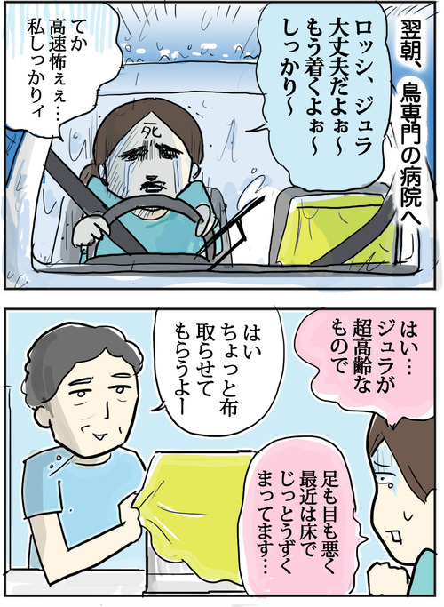 0622−3