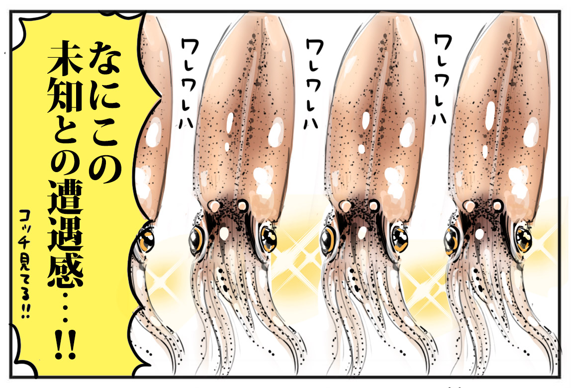 生のホタルイカを食べて見たよ たまご絵日記 2児のかあちゃん奮闘記 Powered By ライブドアブログ 生のホタルイカを食べて見たよ たまご絵日記 2児のかあちゃん奮闘記 Powered By ライブドアブログ