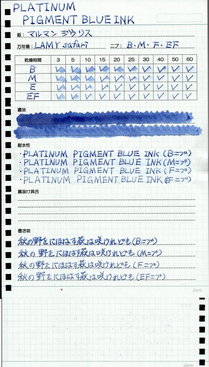 Platinum Pigment Blue Ink ぺん ぱれーどっ