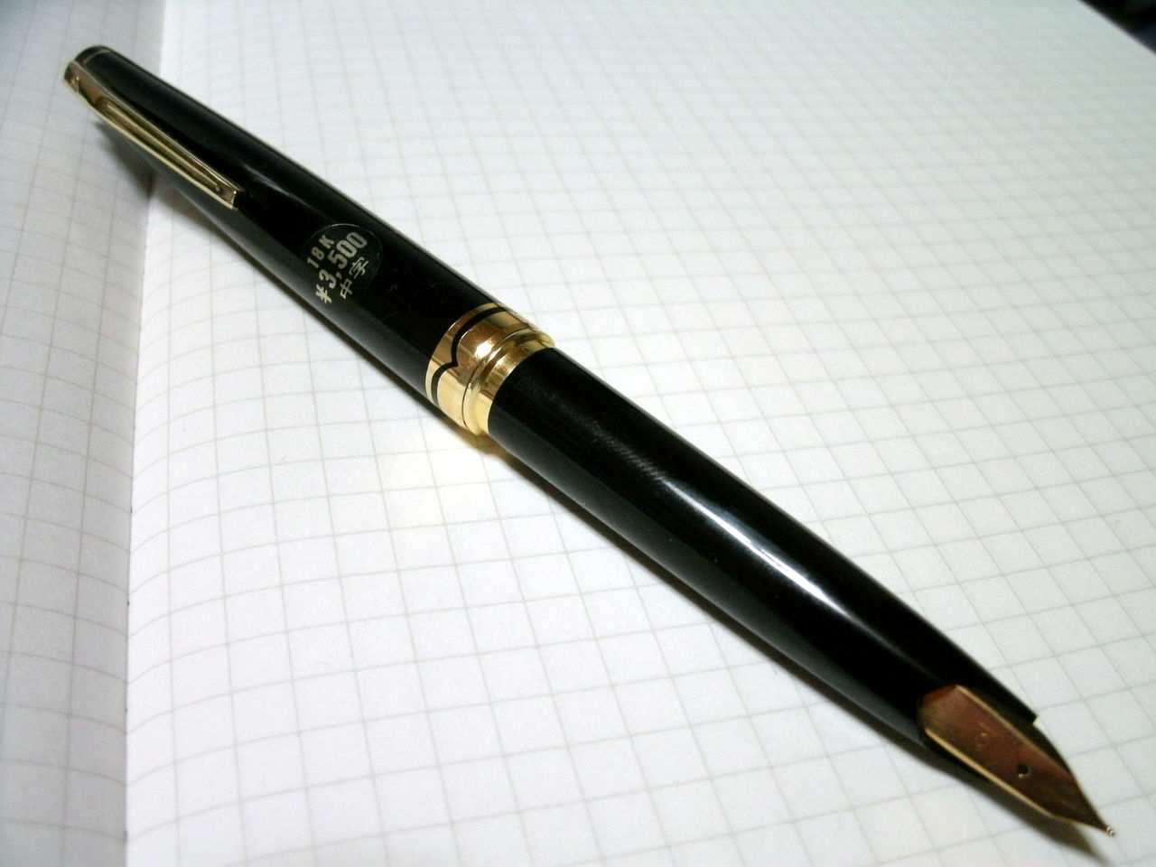 Platinum Pocket 18 Large Nib 18K (M) : ぺん☆ぱれーどっ！