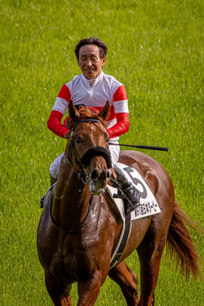 なん j 競馬
