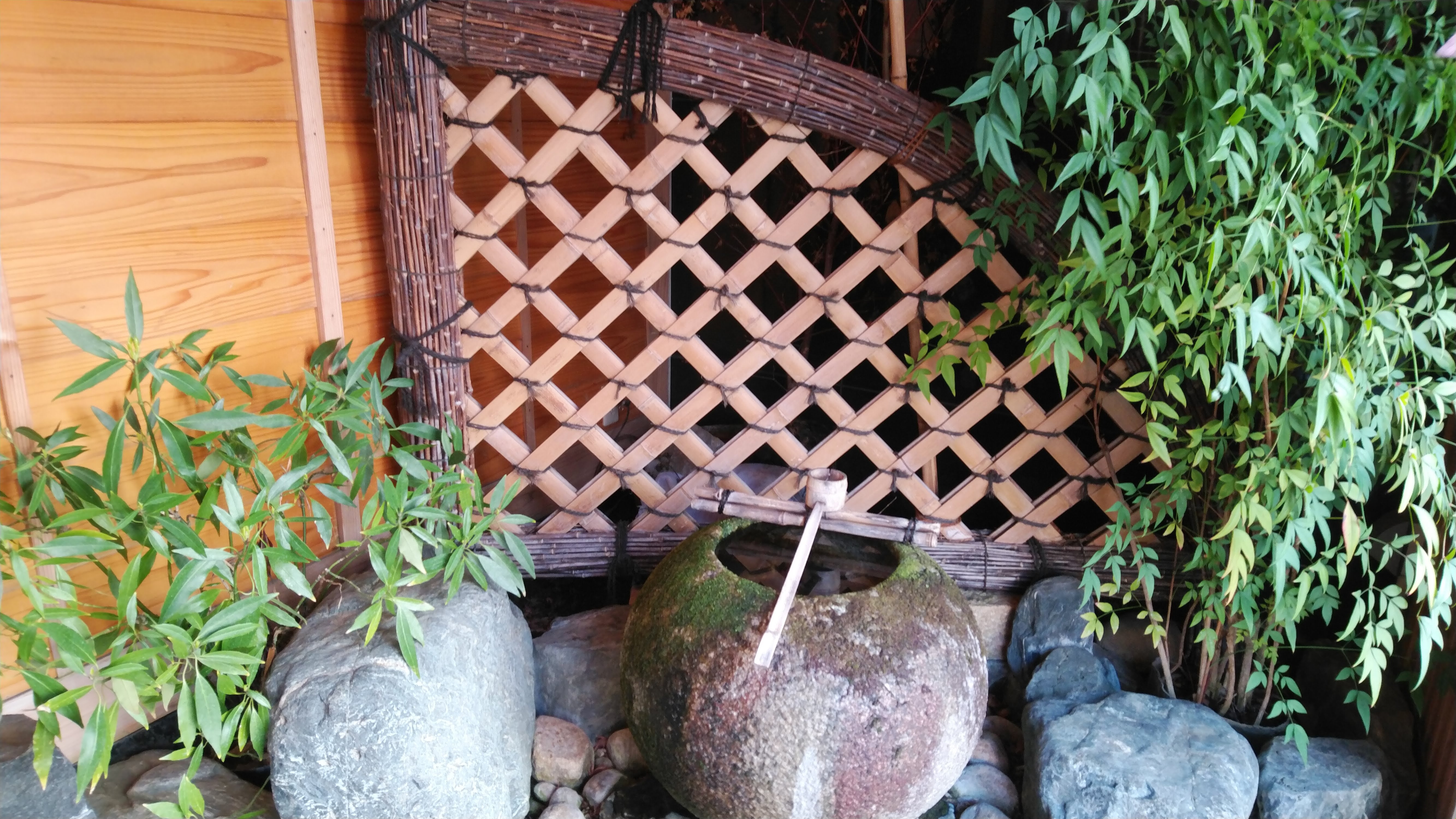 仙台市青葉区 びわね Manchotののんべんだらり