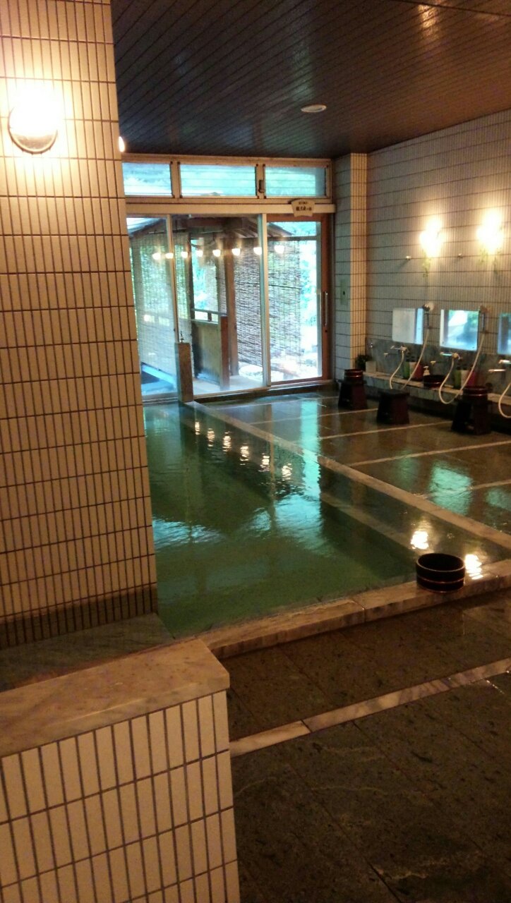 磐梯熱海温泉 金蘭荘花山 Manchotののんべんだらり