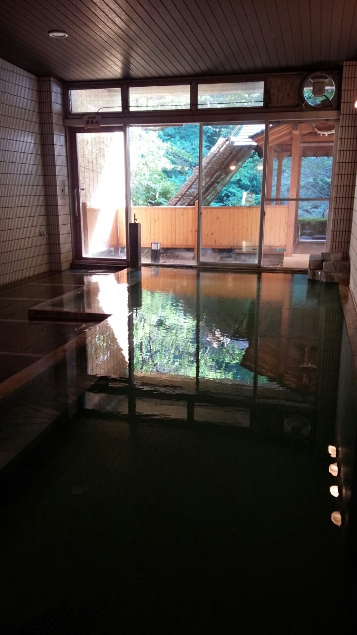 磐梯熱海温泉 金蘭荘花山 Manchotののんべんだらり