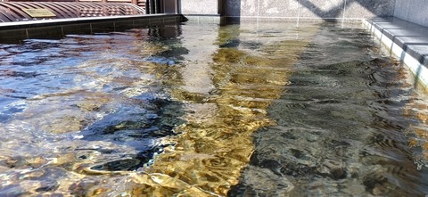 IMG_20210829_074504