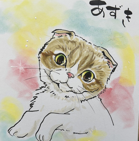 azuki