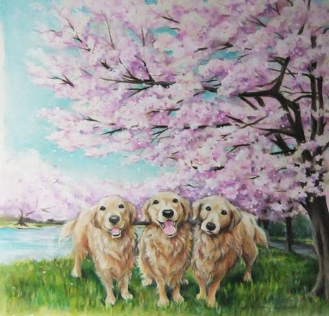 119kansei_sakura