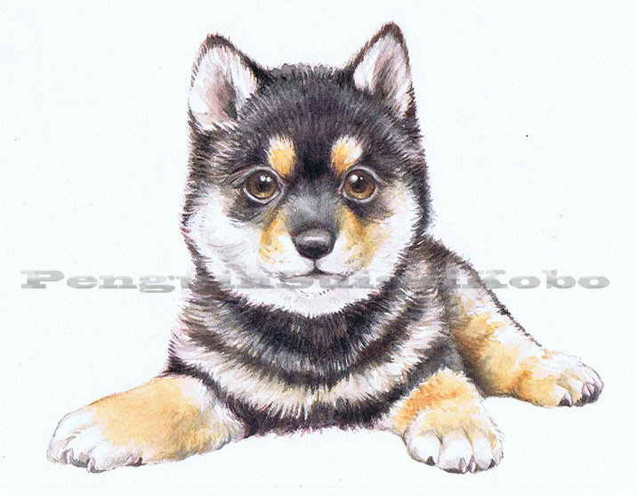 わんコレ新犬種 念願のにゃんコレ 真夜中のぺんぎん工房 似顔絵教室