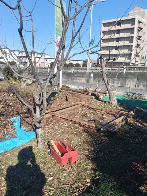 IMG20251228102521