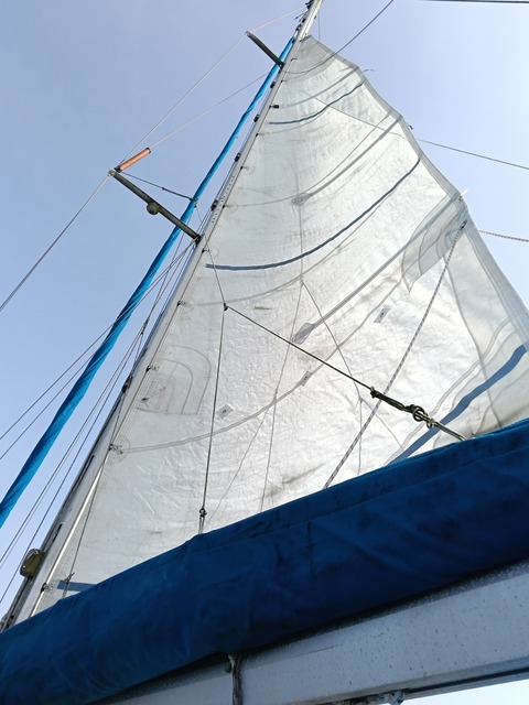 IMG20251111085821