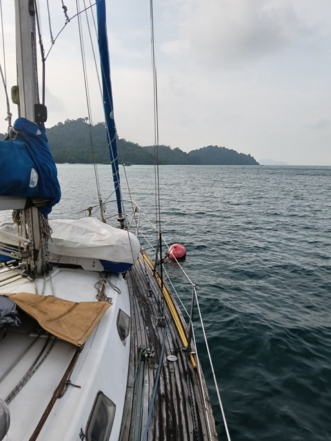 IMG20251110153954