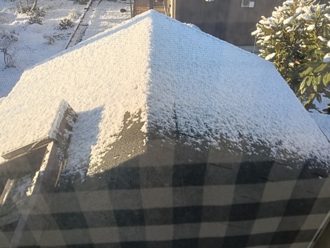 IMG20260103075647