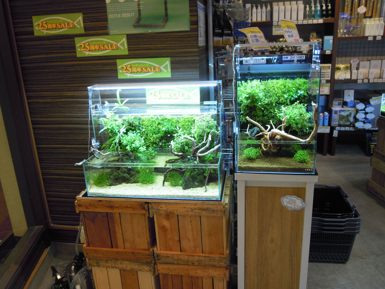 DOOA新商品展示! : ~ペンギンビレッジぶろぐ 水中たより~有楽町店