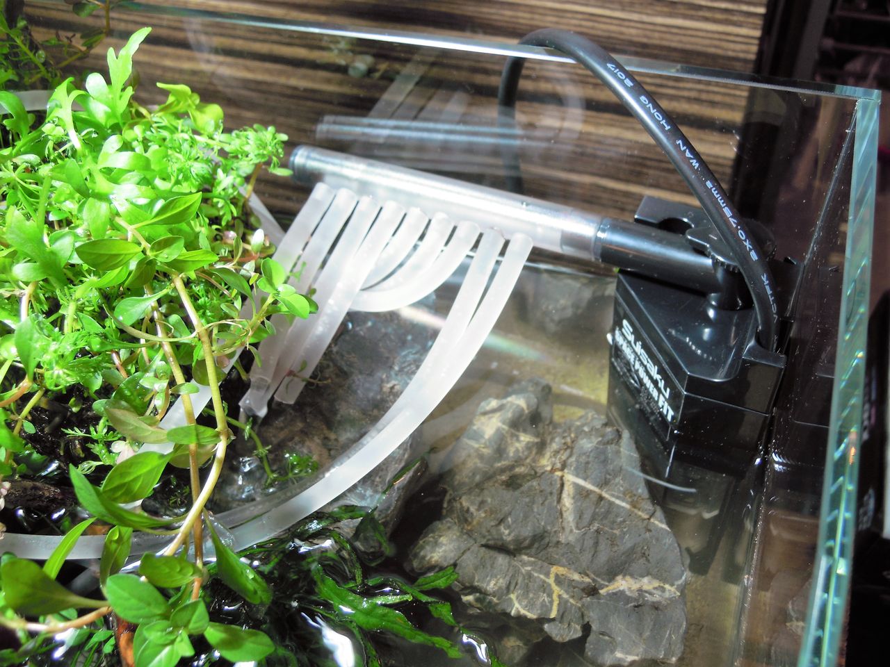 ネオグラステラ（H23）レイアウト製作例 : ～ペンギンビレッジぶろぐ