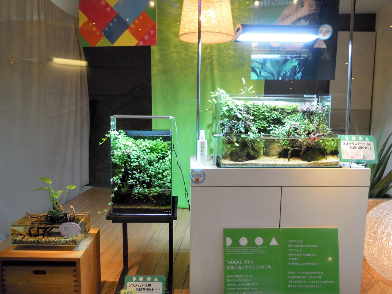 ショールームのご紹介 : ~ペンギンビレッジぶろぐ 水中たより~有楽町店