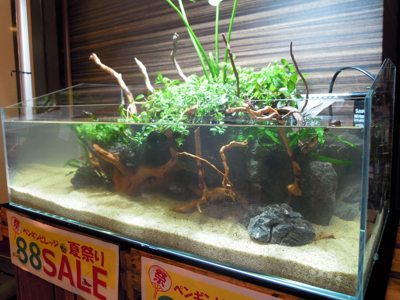 ネオグラステラ（H23）レイアウト製作例 : ～ペンギンビレッジ