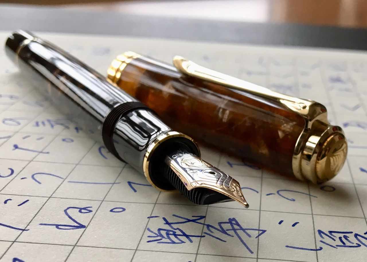 筆 散 歩 2019年6月11日 火曜日 PELIKAN M800 RENAISSANCE BROWN