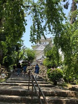 IMG_0110