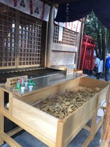 IMG_1890
