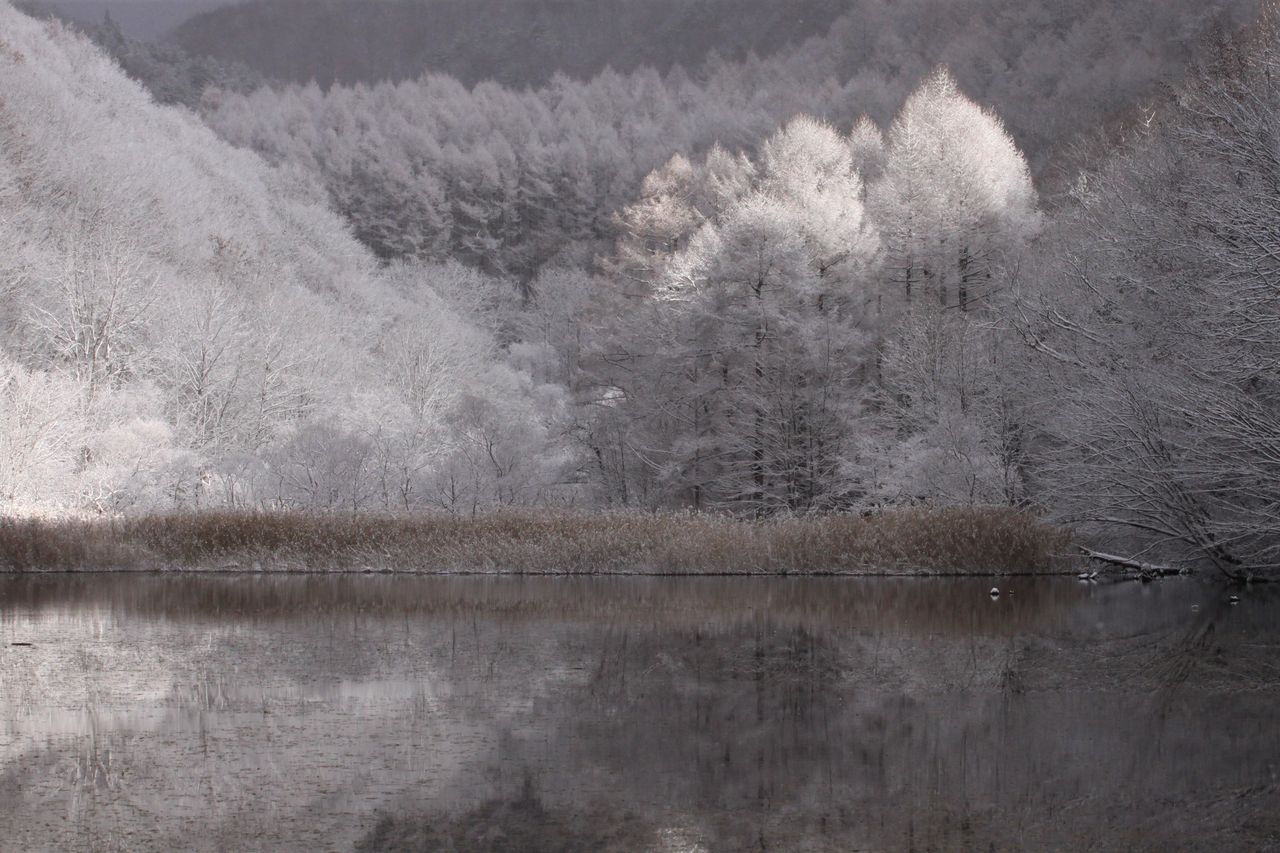 初冬の便り 白の世界へ 今日のそら