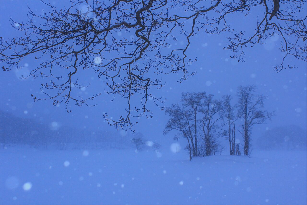 冬の便り 久々のまとまった雪へ 今日のそら