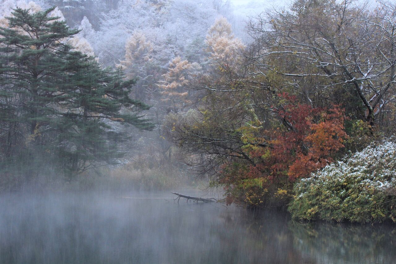 晩秋の便り 晩秋 初冬へ 今日のそら