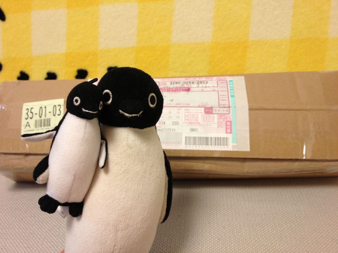 ブラックダイヤモンド Zポール修理完了っす 山で元気に ぺんたろうの登山入門