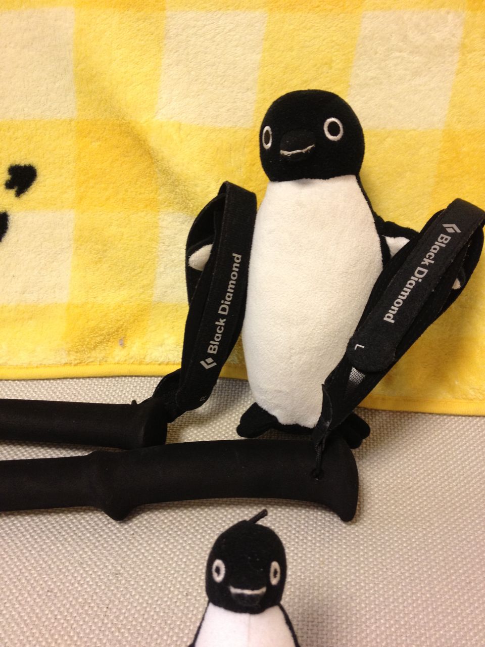 ブラックダイヤモンド Zポール修理完了っす 山で元気に ぺんたろうの登山入門