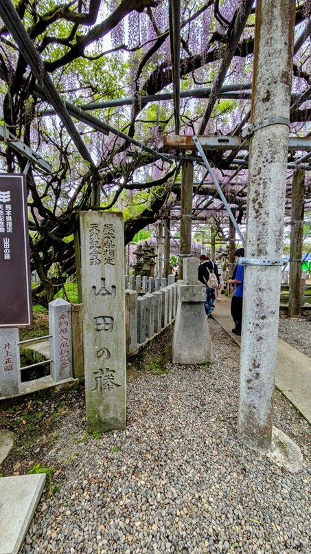 PXL_20250420_061746202~2