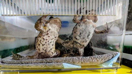 PXL_20250518_134144039~2