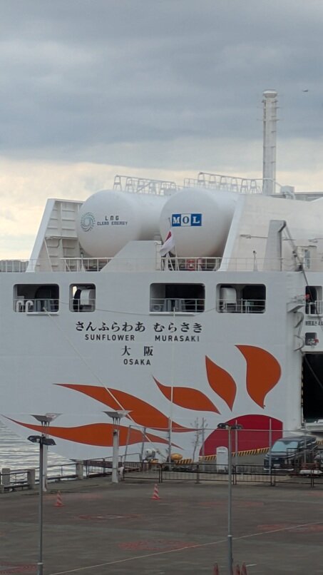 PXL_20250330_053113301